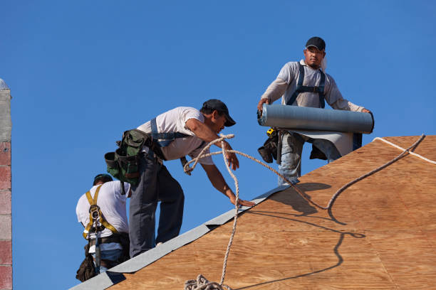 Best Roof Gutter Cleaning  in Maud, TX